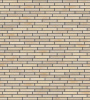 Облицовочный кирпич Plinfa Cassia 1104 рифленый